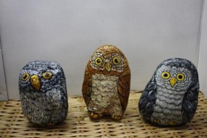 3 owls